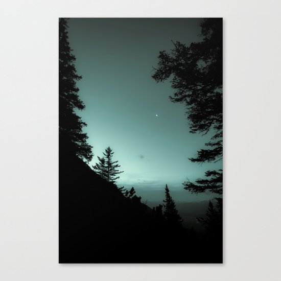 Moonlight Poem Canvas Print