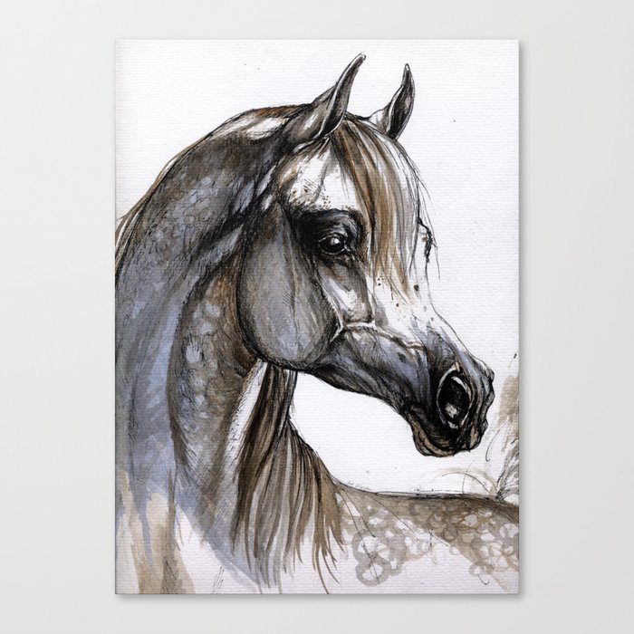Arabian Horse Canvas Print By Tarantella Society6