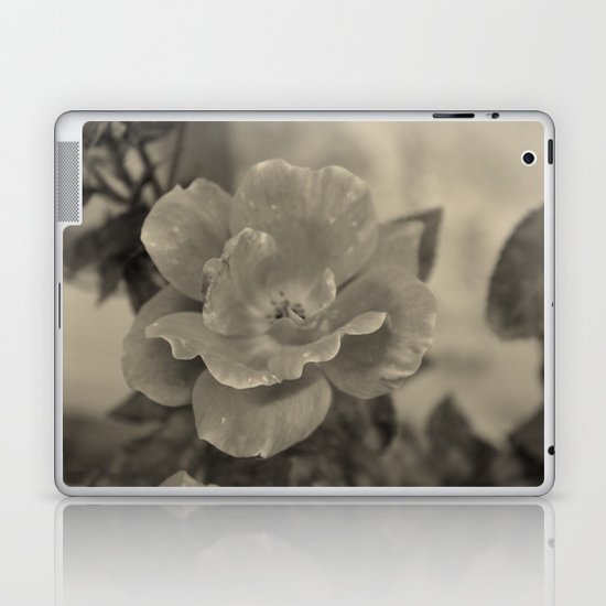 Classic Beauty Laptop & iPad Skin