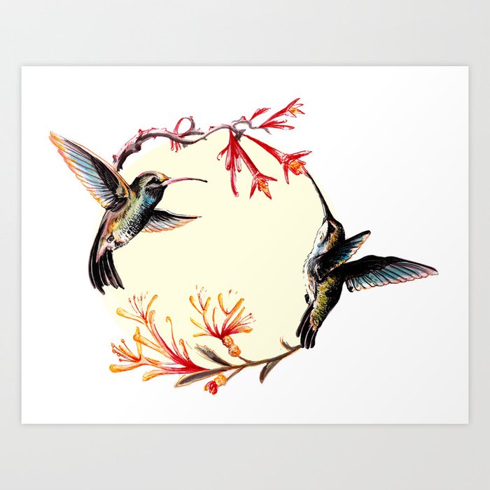 Humming Bird Art Print