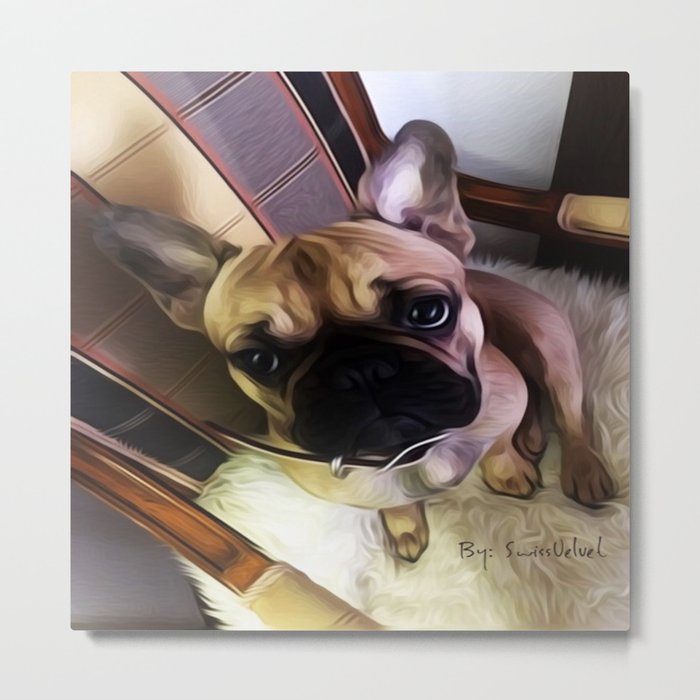 You can always find hope in a dogs eyes. Metal Print