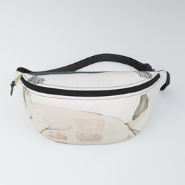 Egyptian Trionyx Fanny Pack