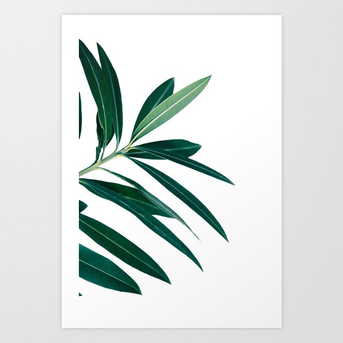 Green and White Botanical Leaves Art Print