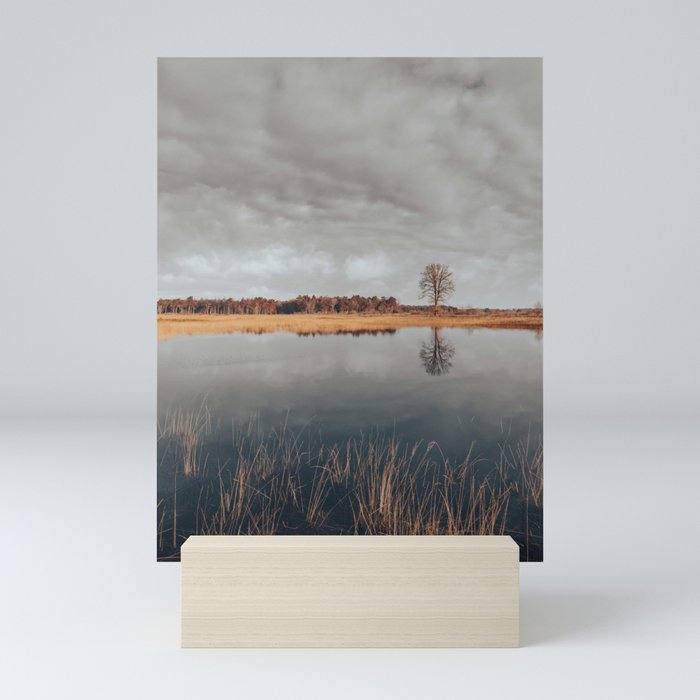 Lonely tree across the lake Mini Art Print