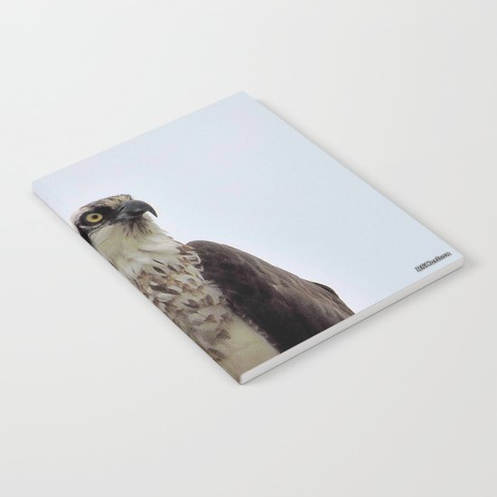 Osprey Notebook