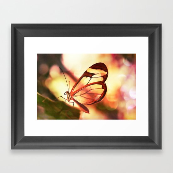 Butterfly 01 Framed Art Print