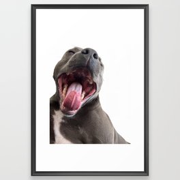 Anatomy of a Yawn Framed Art Print