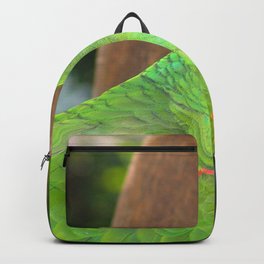 Brazil Photography - Beautiful Green Parrot Sitting In A Tree Backpack