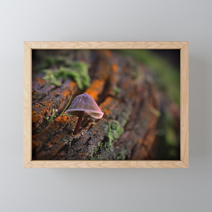 everything starts small Framed Mini Art Print