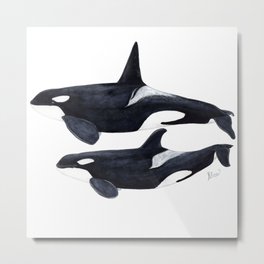 Orca male and female Metal Print