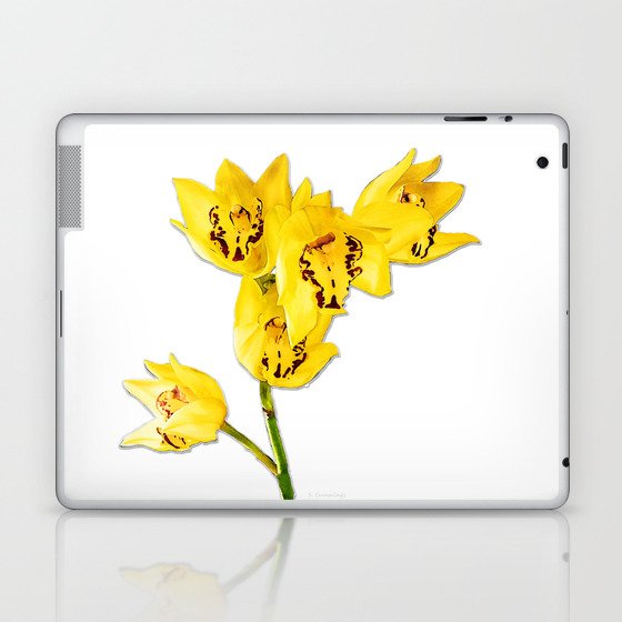 Yellow Orchid Flowers On White by Sharon Cummings Laptop & iPad Skin