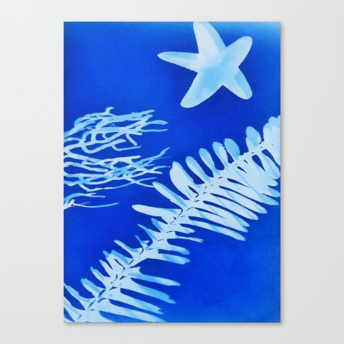 sea star nature print Canvas Print