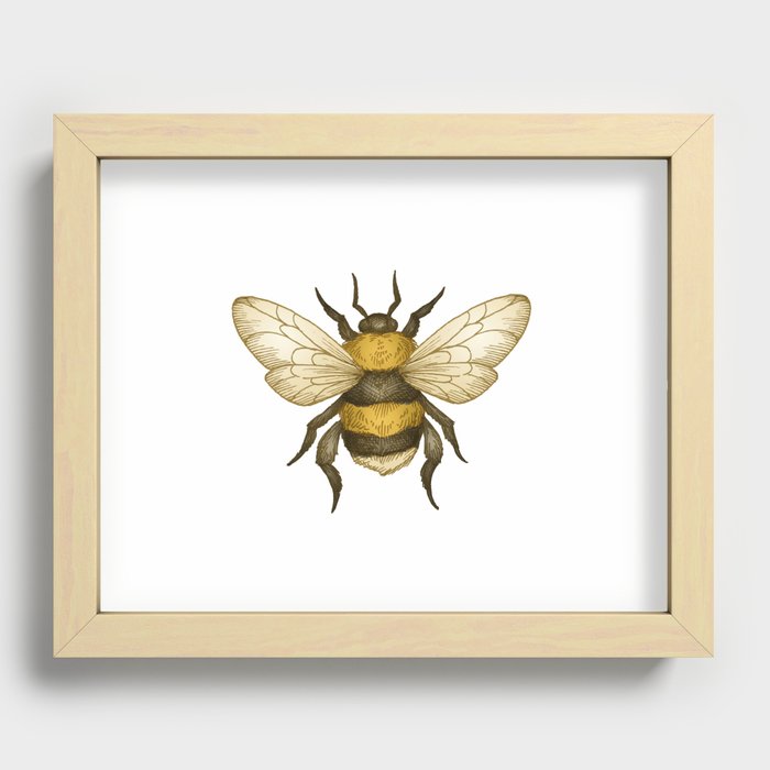 Bumble Recessed Framed Print