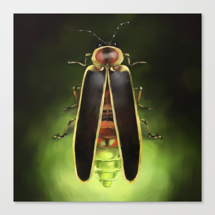 Lightning Bug - Firefly Canvas Print