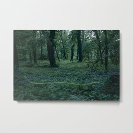 firefly composition no.1 Metal Print