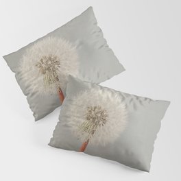 The Passing of Time Pillow Sham