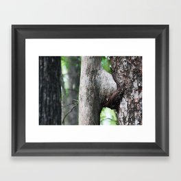 Tree sex  Framed Art Print