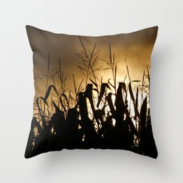 Maize Throw Pillows For Any Room Or Decor Style Society6