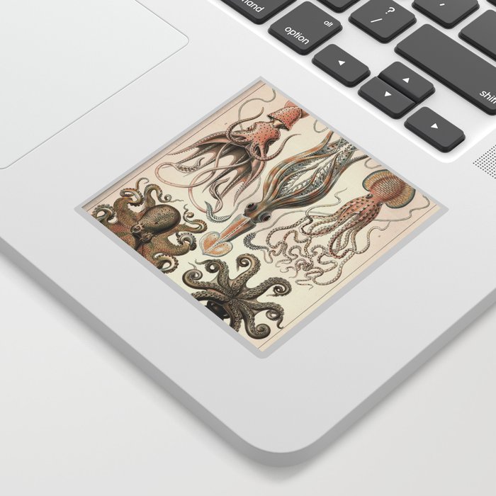 Vintage Octopus Illustration Sticker