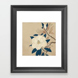 Magnolia - botanical illustration - vintage art - neutral colors - japanesse Framed Art Print