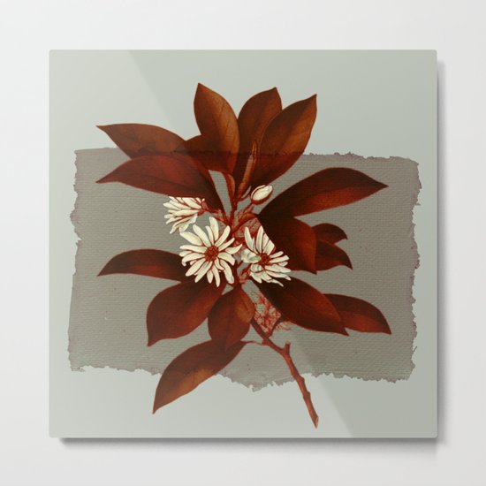 branch and flowers on grey paper Metal Print