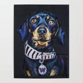 Funniest dog: Willow Poster
