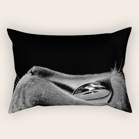 Cat Rectangular Pillow