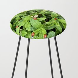 Mint Peppermint And Ladybugs Counter Stool