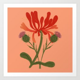 Thistle & Honeysuckle Flowers Art Print