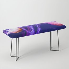 Floating Jellyfishes 3 Bench