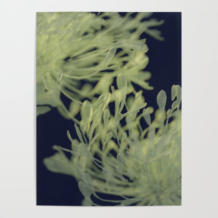 Floral Abstract Blue/Green Art Print Poster