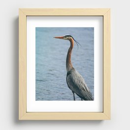 Bird Watching Recessed Framed Print