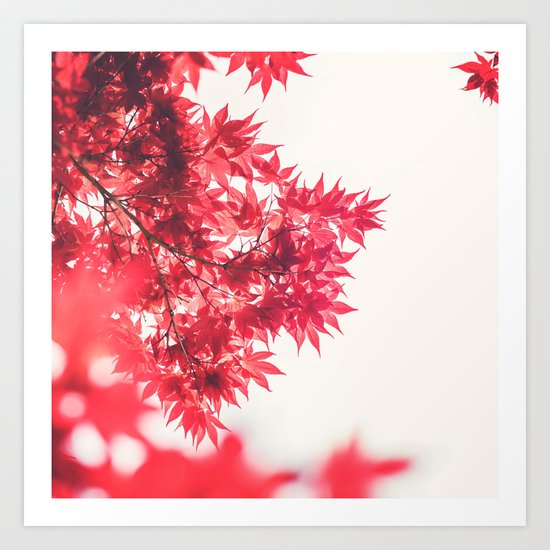 Autumn Leaves Art Print