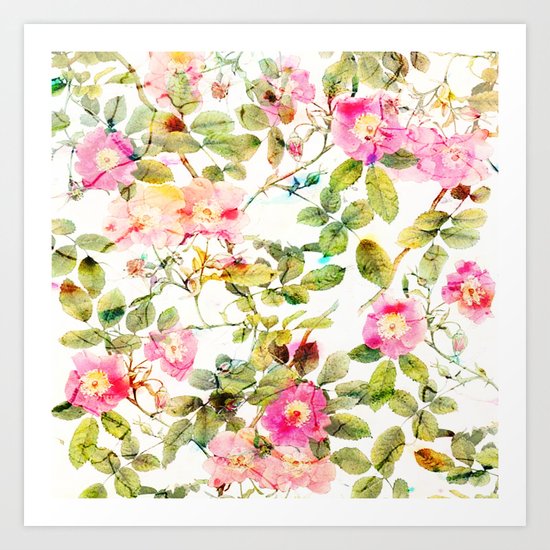 soft pink rosebush Art Print