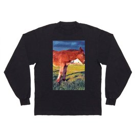 Colorful summer Brown horse foal pasture in the countryside at golden hour Long Sleeve T-shirt