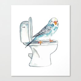Bird budgie toilet Painting Wall Poster Watercolor Canvas Print