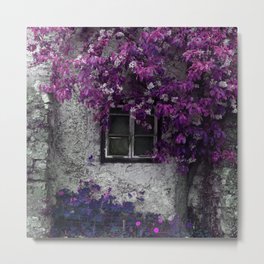 Bright Purple Vines, Window and Gray Stone Metal Print | Boho, Hotpinkandpurple, Austria, Travelphotography, Purpleandgray, Architecture, Radiantorchid, Windowphotography, Purplefloral, Vines 