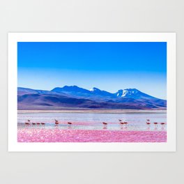 Pink Flamingos at Laguna Colorada in Bolivia Art Print