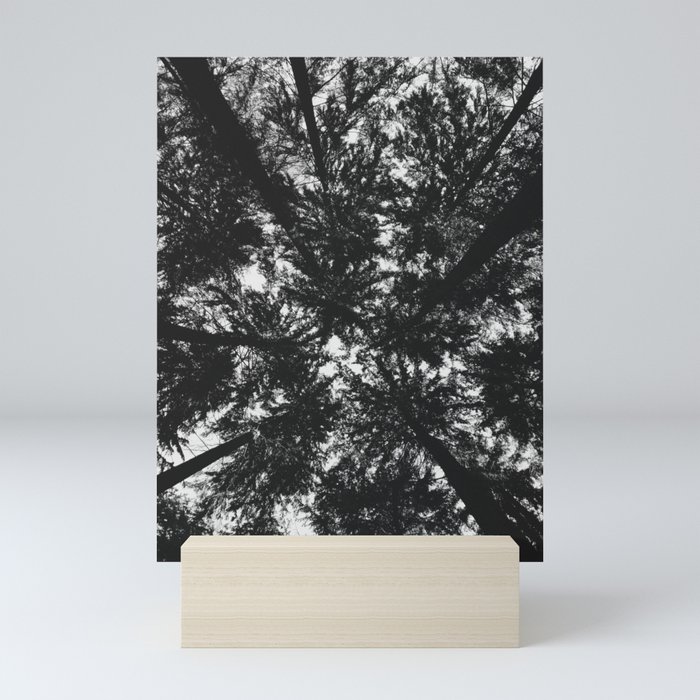 View Under the Canopy Mini Art Print