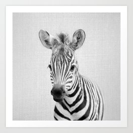 Baby Zebra - Black & White Art Print