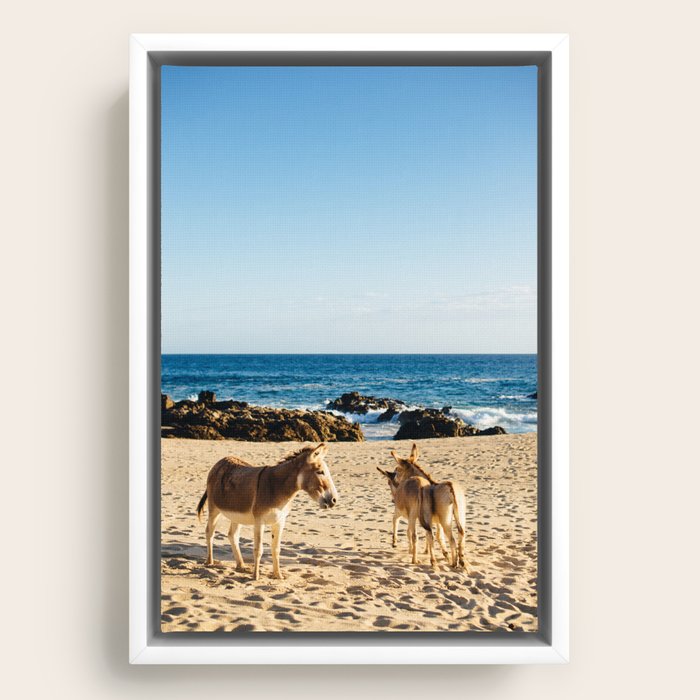 Framed Canvas