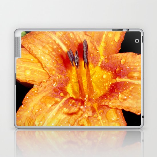 Rain Laptop & iPad Skin