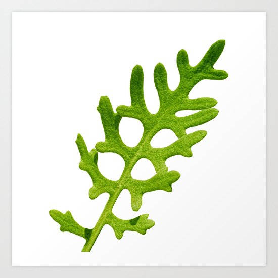 green velvet I Art Print