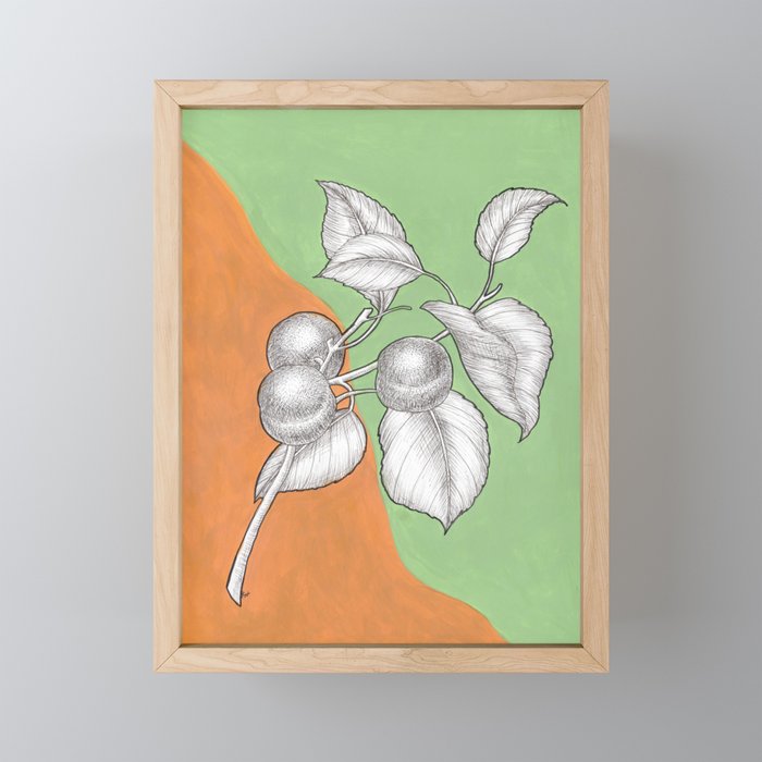 Apricot Framed Mini Art Print