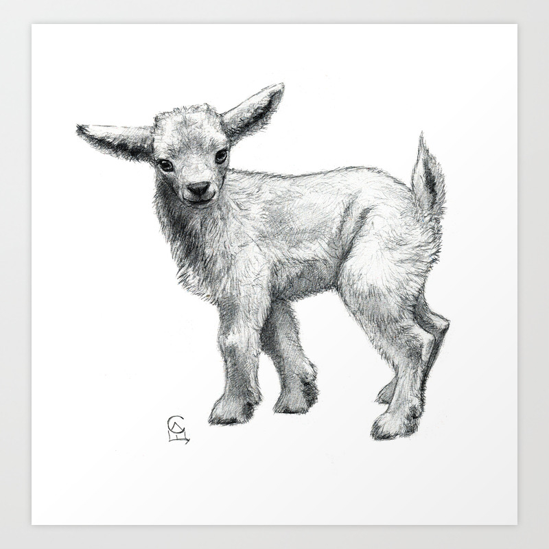Little Goat Baby Sk134 Art Print By S Schukina Society6