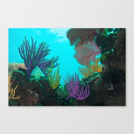 Magic below | colored coral reef Canvas Print