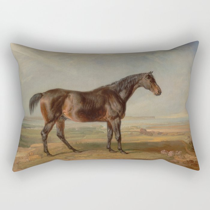 Dr. Syntax, a Bay Racehorse, Standing in a Coastal Landscape Rectangular Pillow