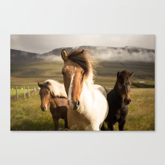 Three Amigos Canvas Print