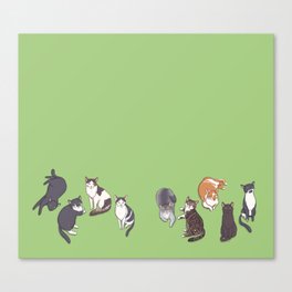 cats  Canvas Print