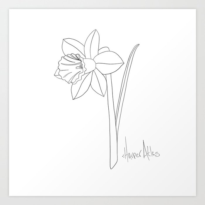 Featured image of post Simple Daffodil Line Drawing They give the order in which to make the various strokes of the pencil